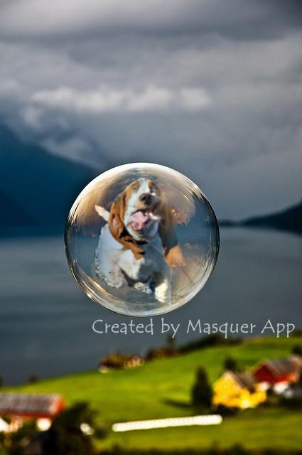 MasquerApp's tweet image. Travelling around the world by a bubble is a pretty awesome idea. masquerapp.com