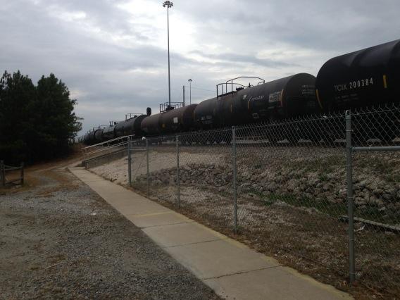 davidandrewbrya's tweet image. Tex #s250.1