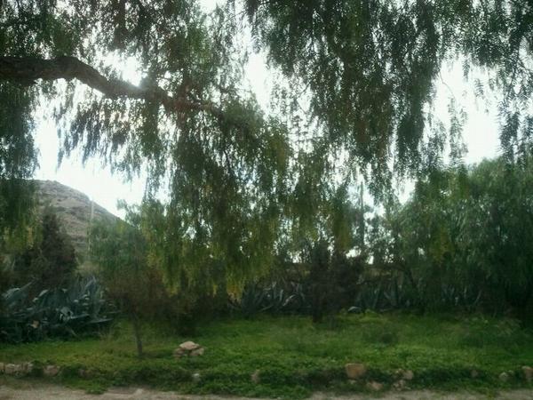 losmalenos's tweet photo. El desierto con la lluvia parece Escocia!!!! http://t.co/i8g8pAon