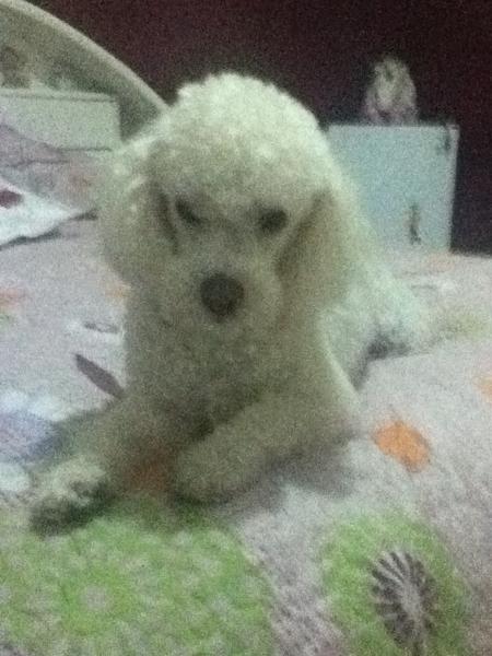 L16Paz's tweet photo. Mi bb http://t.co/gIvRO8qQ