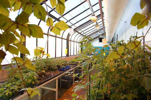 CampusView's tweet image. 