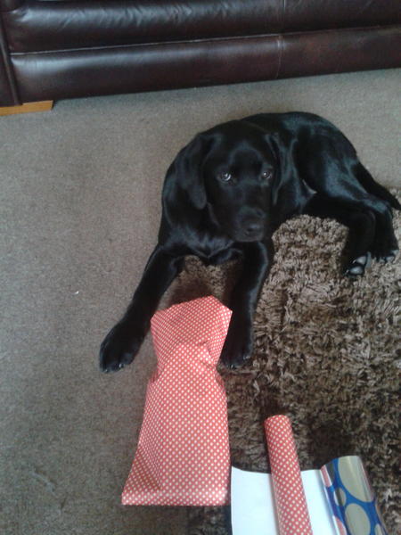 bennipper tweet picture