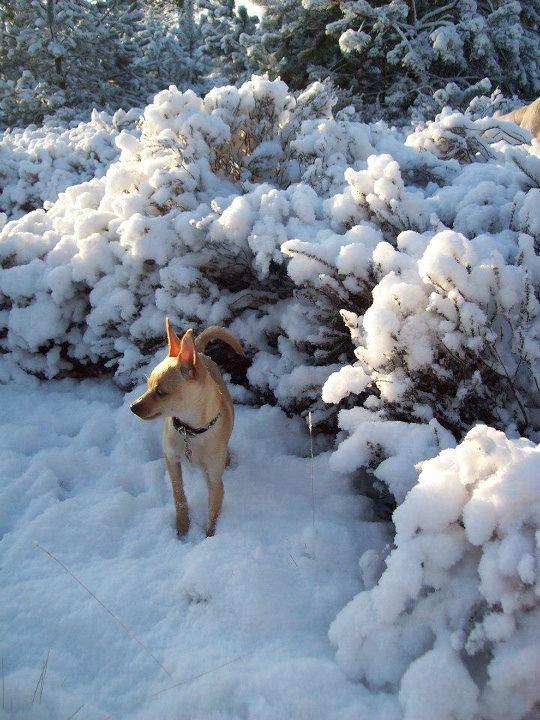 Wat heb ik genoten zeg....