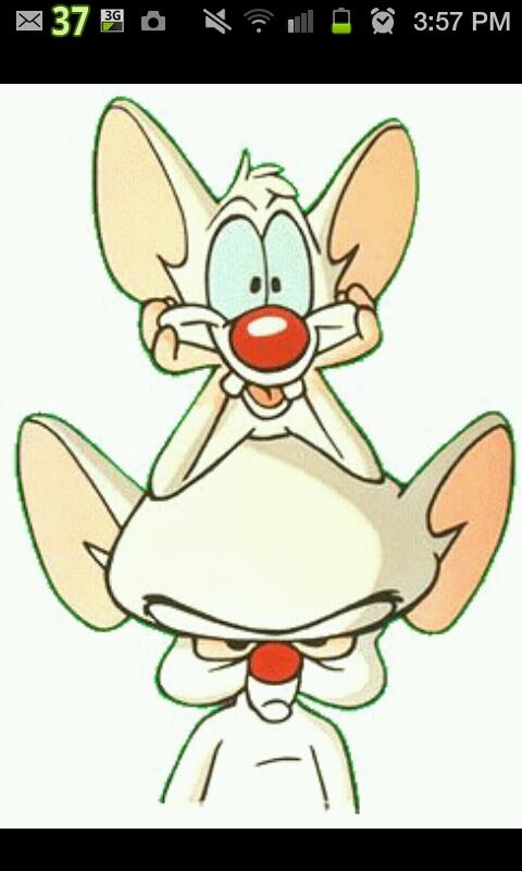 90sbabysforever's tweet photo. Pinky &amp; Brain http://t.co/ug5JlFUi