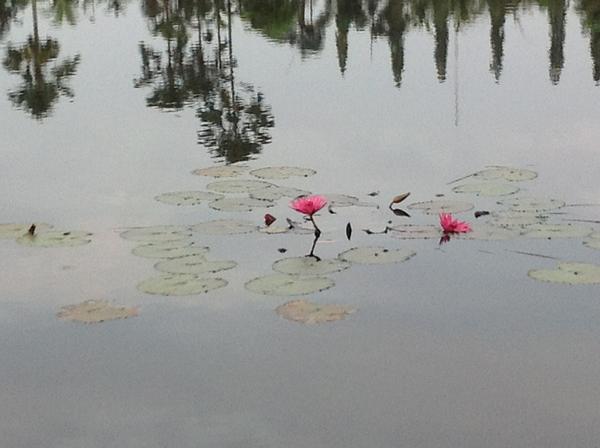 fegarmy's tweet image. Bersemi