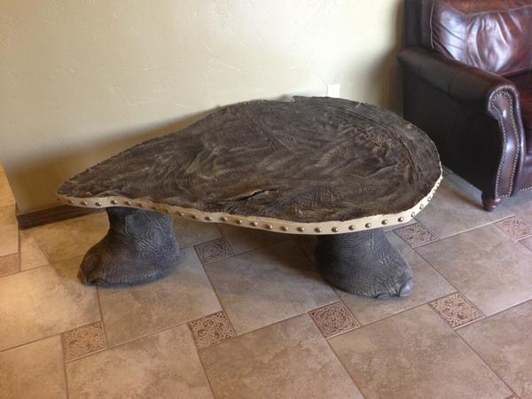 craygee's tweet image. An elephant ear table I saw today.  Real ear and feet had hair on them and all.