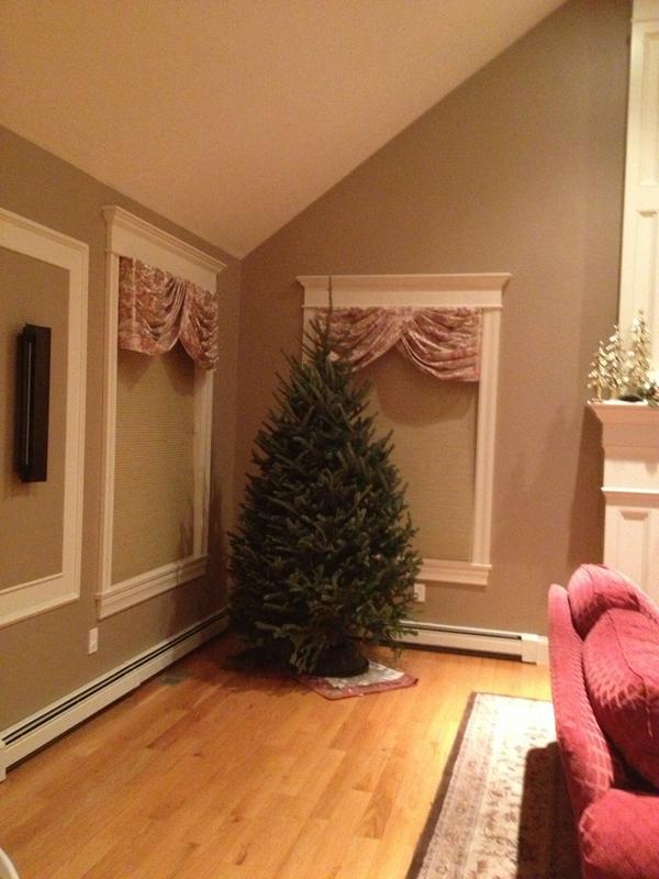 f_bellofatto94's tweet image. Wait what... #midgettree