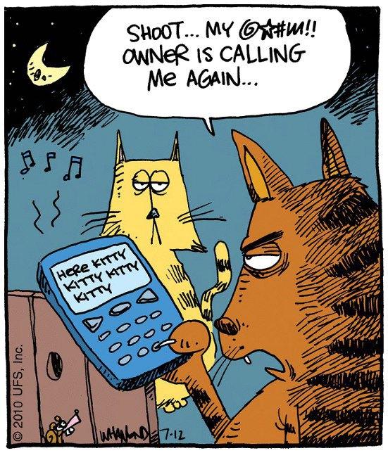 Sebbalicious's tweet image. You gotz smartfone? I juz got a lame tracfone. “@CatFoodBreath: http://t.co/2OYPSPFj”