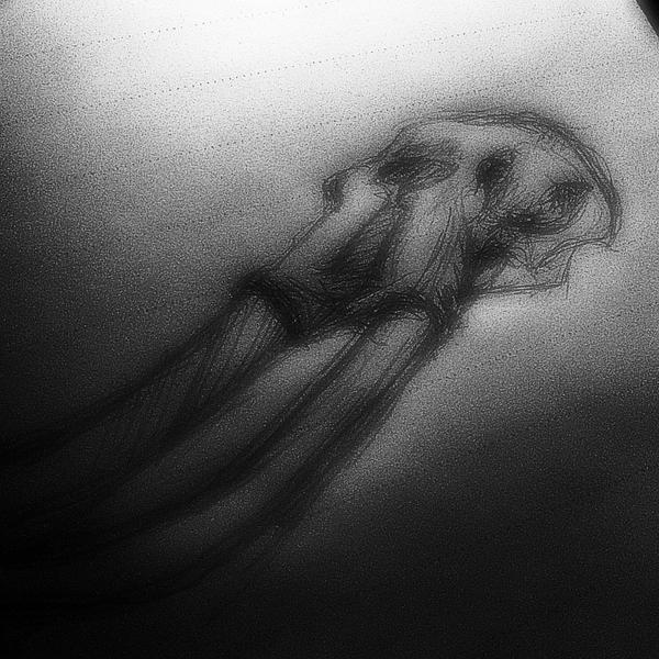 occulter001's tweet image. counting #oliphaunt to sleep...