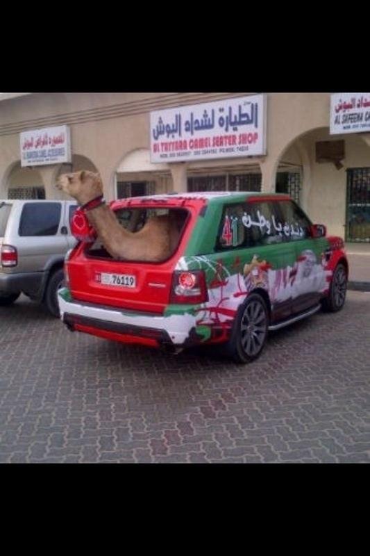 Mr_9ra7aa's tweet photo. دبي دار الحي
#صورة
#غرد_بصورة
#حقيقة http://t.co/GvAVdKJQ
