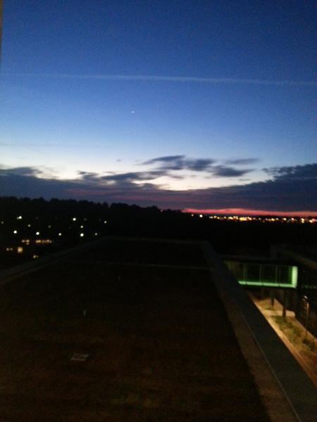 PONYAN CAT tweet media