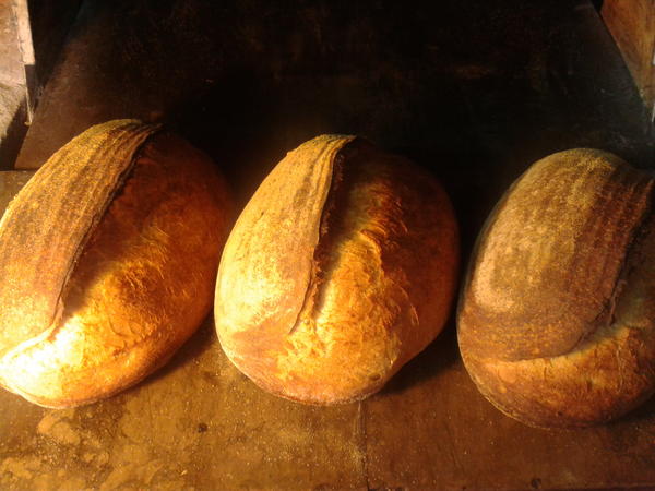 realArtisan's tweet image. “@Cloughwoodfired: So some early #RealIrishbread #Breadporn : Three Boule. http://t.co/RLcCsgLr”
Very sexy loaves! Nicely lit photo too.