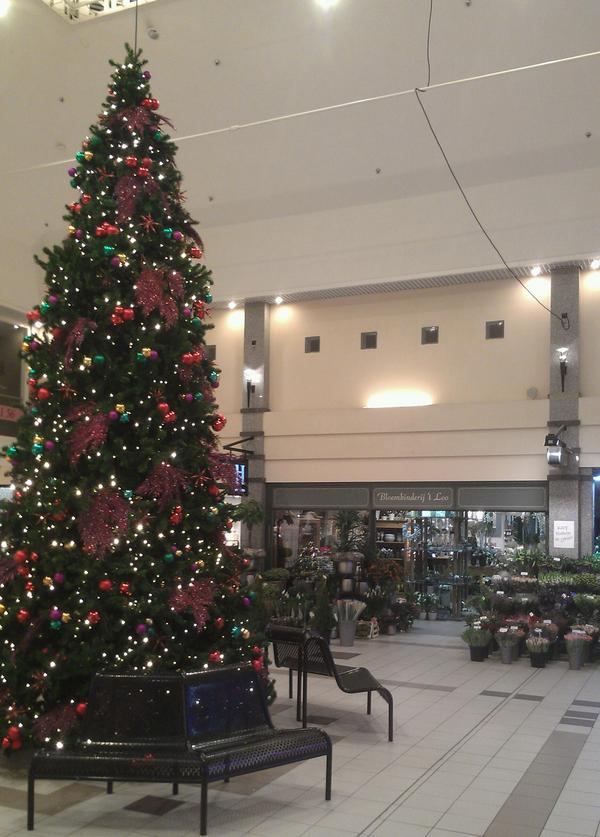 Hoezo klein kerstboompie :) #christmas @ bloembinderij 't Loo