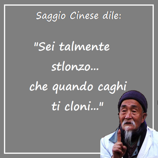 Il Saggio Cinese A Twitteren Sei Talmente Stlonzo Che Quando Caghi Ti Cloni Http T Co Bzmx4uza
