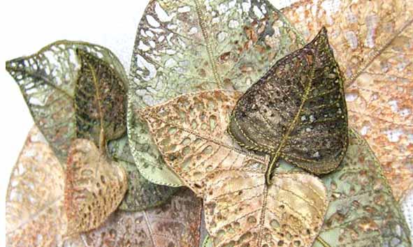 MergeCraft's tweet image. Vicki Lafford @ Merge tomorrow don't miss the show