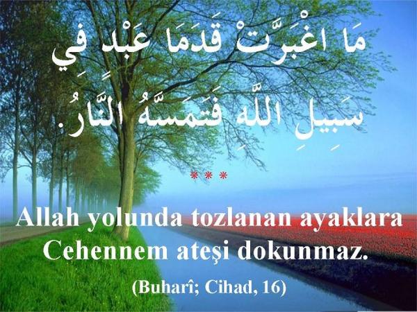 İlgili resim