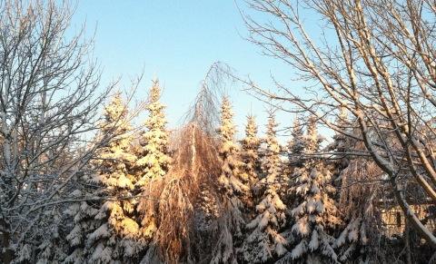 Dierendirk's tweet photo. -12 graden een zonnetje en  heerlijk aan een kop cappuccino bij de open haard. Dat is pas echt " winterpret". http://t.co/K9gKhd7B