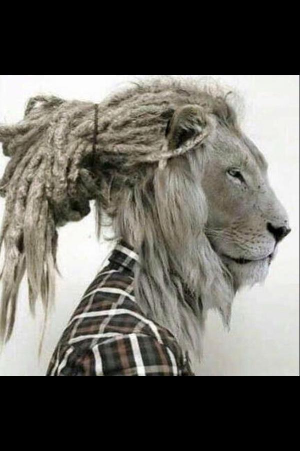 BafGomis tweet picture