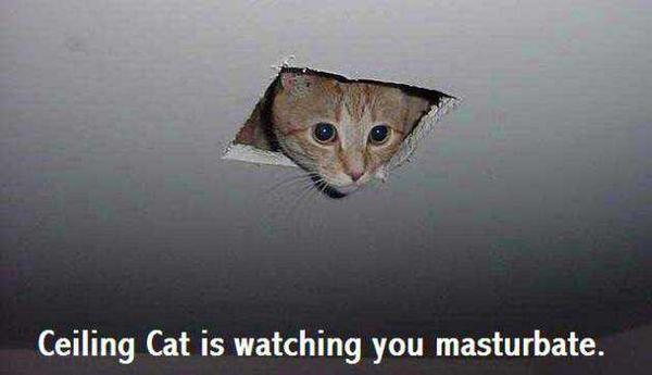 EnvisionWithin tweet picture