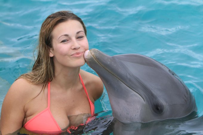 🐬 http://t.co/Adwyogs6<a href="/tag/giveback"class="tags"><span>#giveback</span></a>