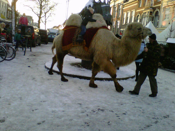 RT @stefanie_locaa: Zaltbommel is best wel eeen rare stad..