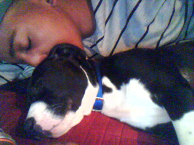 Sleep with my dog. http://t.co/WgoUer3x