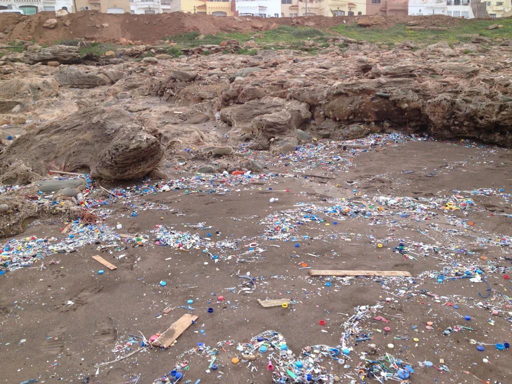 houda berrada (berrada_houda) Twitter