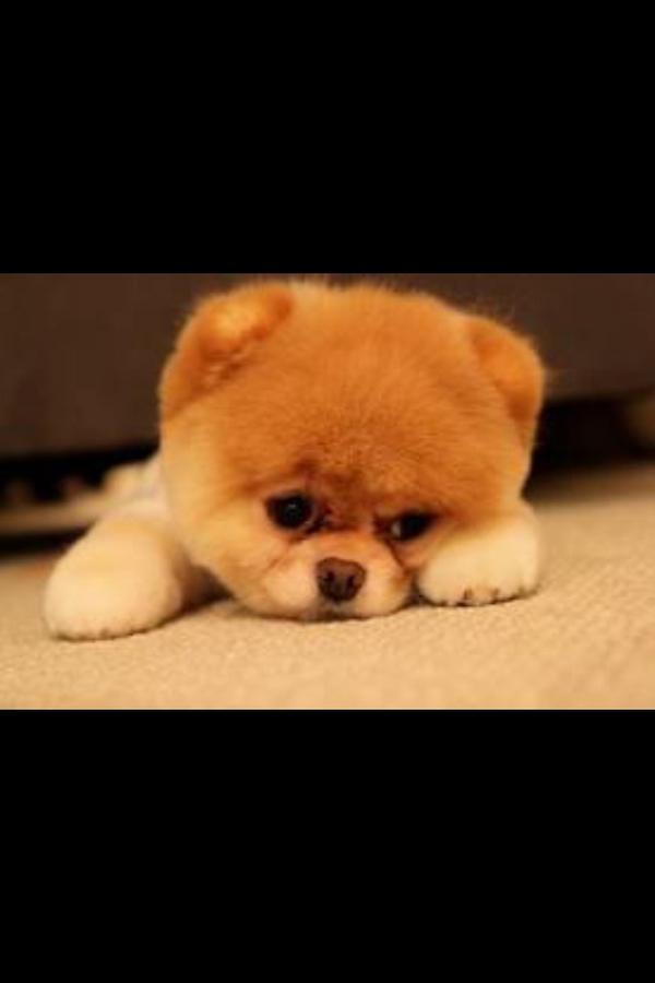 MeidenTweetsXXL's tweet photo. RT als je dit schattig vindt http://t.co/M6L4GPIC
