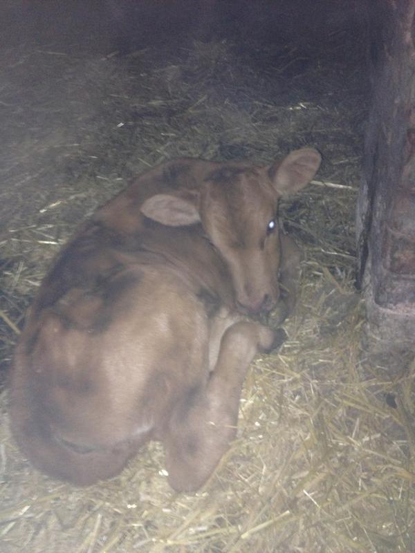 henrycooke1's tweet image. Are you lost? #wrongcolour