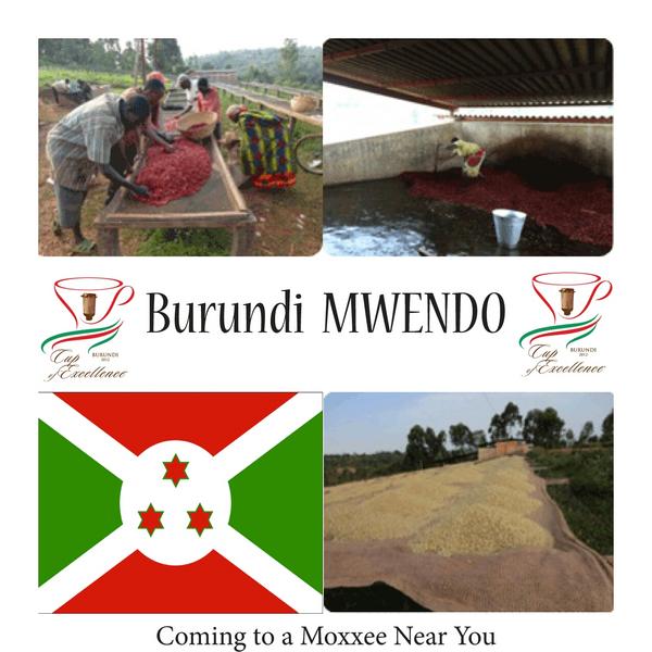 MOXXEE's tweet photo. Proud to pay 4x fair trade price to farmers of Burundi, 1 of 5 poorest countries n world, for this award winning coffee http://t.co/XnE1yzPH