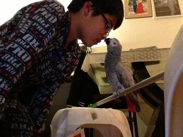 Timon200057's tweet image. Mijn papegaai en ik