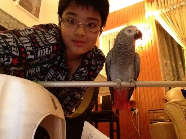 Timon200057's tweet image. 