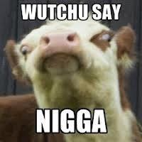 DatCombover's tweet image. "Matty Mullins combover is ugly"