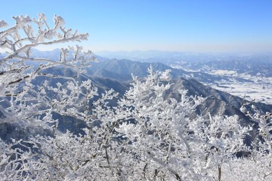 RT <a href="/Kor_Visitkorea/">한국관광공사 :: 까우니의 대한민국 구석구석</a>: [구석구석 추천코스] 꽃 중의 꽃은 눈꽃!^-^ 고운 빛깔의 겨울 낭만여행~ 전북 무주당일여행 코스에요☞ ow.ly/fXmju