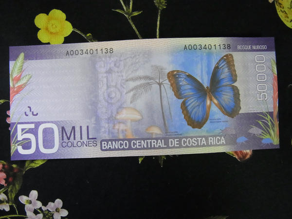 くさびらじかる Twitterissa 更に コスタリカの最高額紙幣 コスタリカコロン どーーん 美しい蝶と イグチだよ 探してたキノコ紙幣をようやく手に入れた Kinokole Http T Co 2u5liu2h Twitter