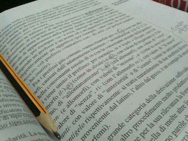 Hasta las narices..  #linguisticaitaliana #morfologia