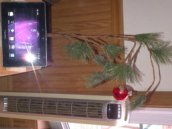 susan roberts tweet media