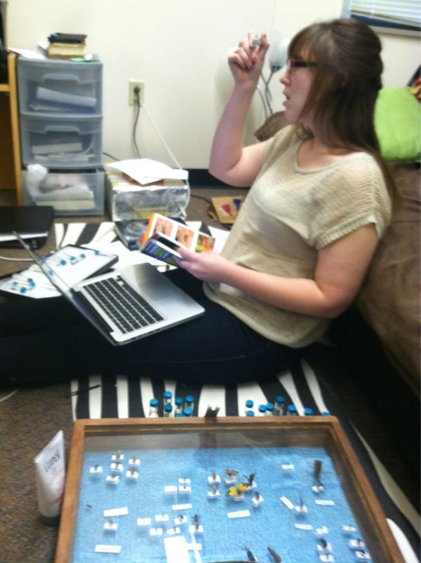 rachelweng's tweet image. This is what happens when you live with a mad scientist. Bugs everywhere. #bugclass @Melissa1033