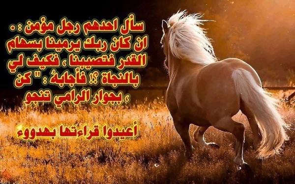 #تستحق_التأمل ”