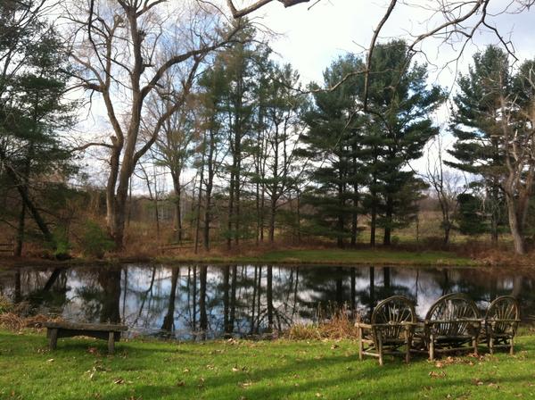 CurrantC's tweet image. Hellooooo to our new followers!