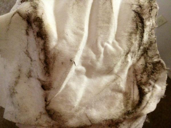 RealityTruth2's tweet image. Result of roommates never cleaning.