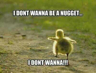 joeey97's tweet photo. this is my favourite picture ever http://t.co/KhuFoE36