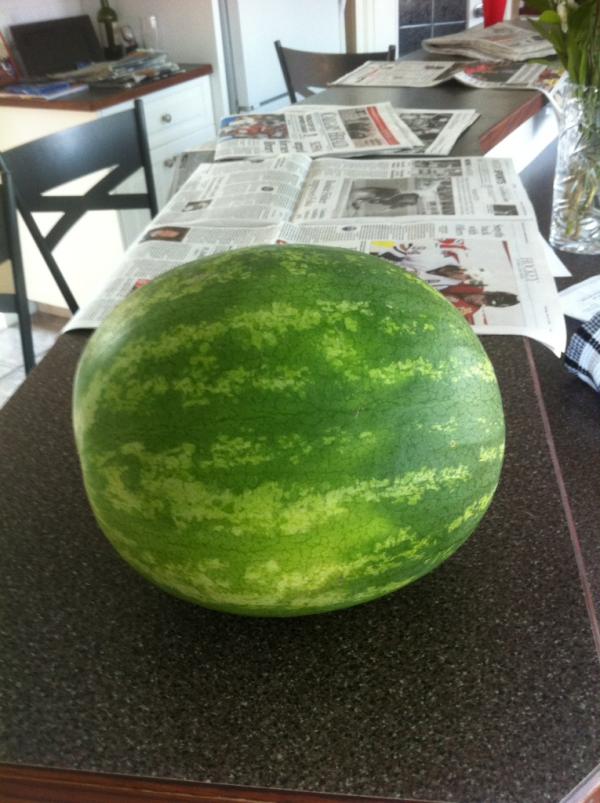 Travi3000's tweet image. @gregjohnson_vix #whoseyourcaddy