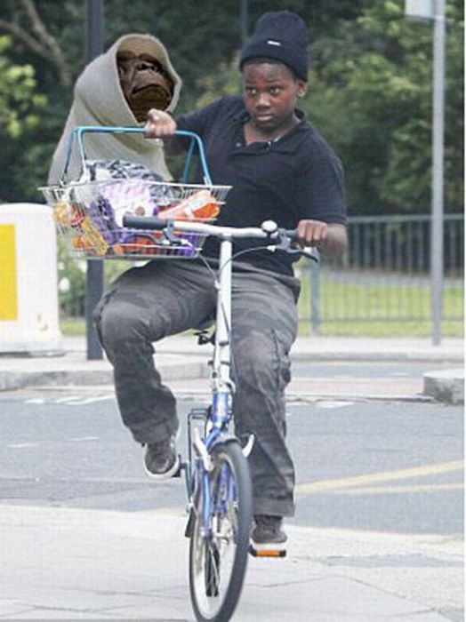 YMoCMAG's tweet photo. Looting is out of the world! http://t.co/LiYv3l7