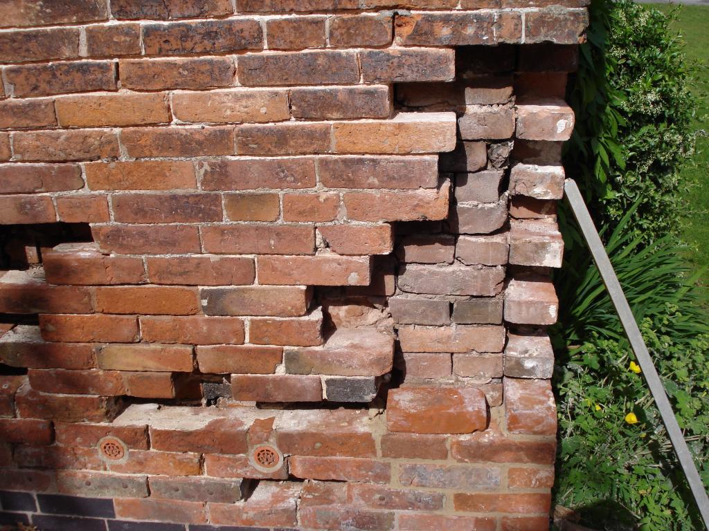 RWMconservation's tweet image. Before