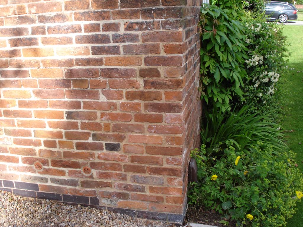 RWMconservation's tweet image. After