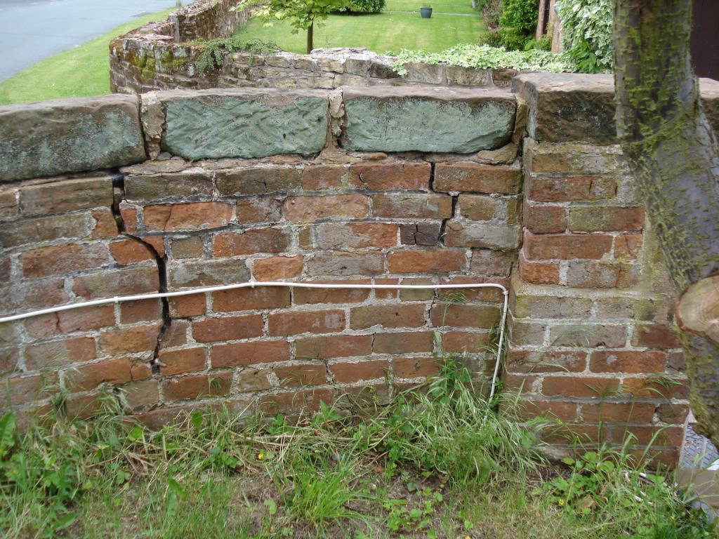 RWMconservation's tweet image. Before