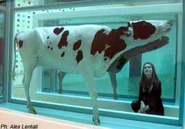 This week Betty referred to Damien Hirst's half cow - here's a picture of it.