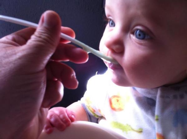 markedge's tweet photo. Picture of Alex. First time I ever fed him... http://t.co/IT8XGhj