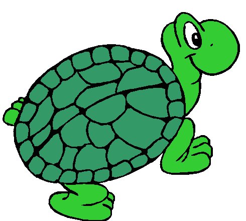 TheSwampHouse's tweet photo. we have lost our beloved turtle, scoby, a prized red-eared slider. if found please return to #swamphouse picture below http://t.co/oRomEqN